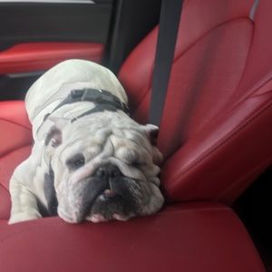 Meet your Posher, Dee